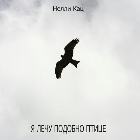 Я лечу подобно птице