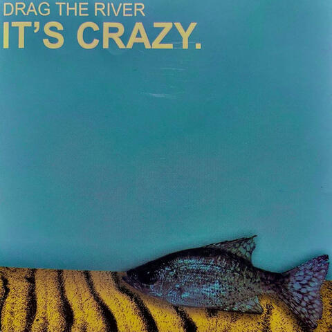 It's Crazy.