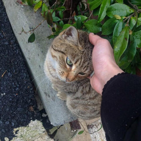 Found You