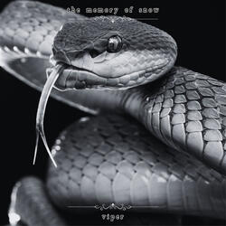 Viper