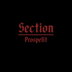 Section