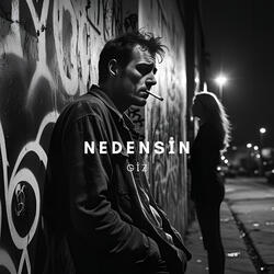 Nedensin