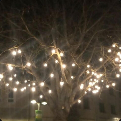 November.