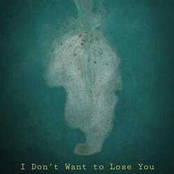 I Don't Want to Lose You