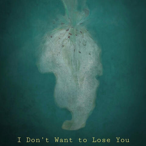 I Don't Want to Lose You