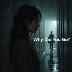 Why Did You Go?