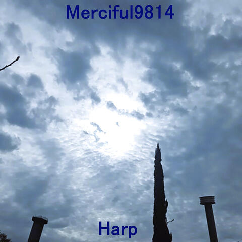 Sunlight Harp