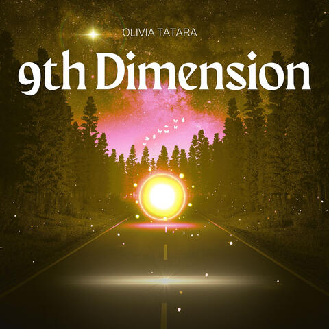 9th Dimension