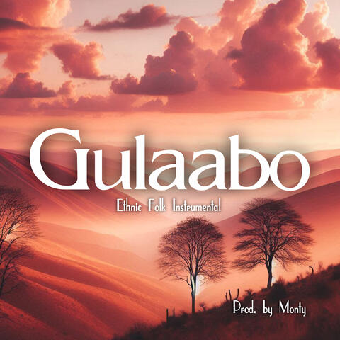 Gulaabo (Ethnic Folk Instrumental)