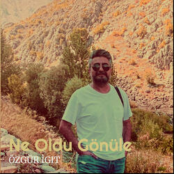 Ne Oldu Gönüle