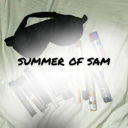 Summer of Sam