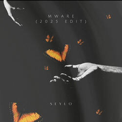 Mware (2025 Edit)