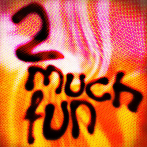 2 Much Fun