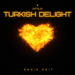 Turkish Delight (Radio Edit)