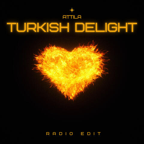 Turkish Delight (Radio Edit)