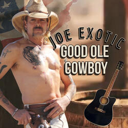 Good Ole Cowboy