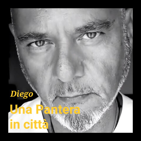 Una Pantera in citta'