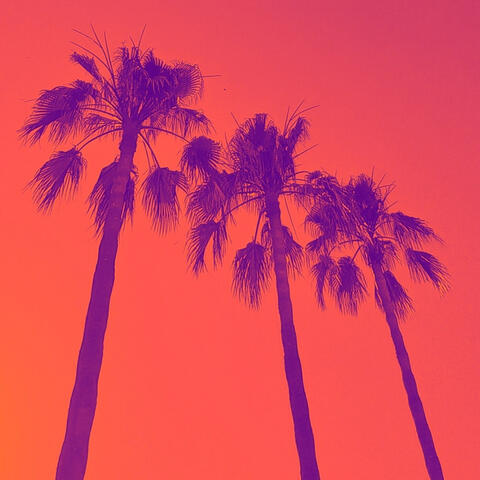 Somewhere