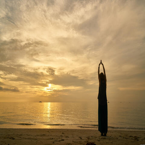 Reach the Sky