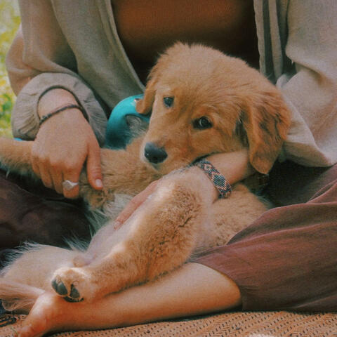 Sleepy Woof