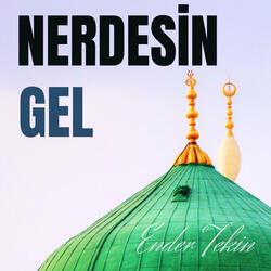 Nerdesin Gel