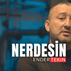 Nerdesin