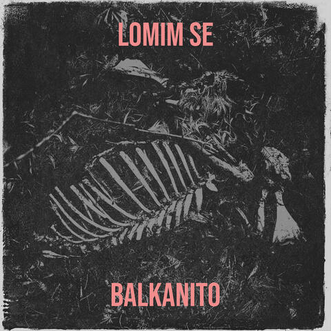 Lomim Se