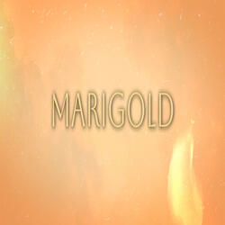Marigold