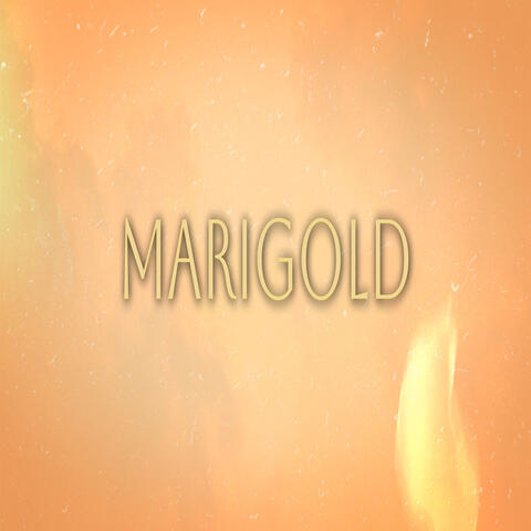 Marigold
