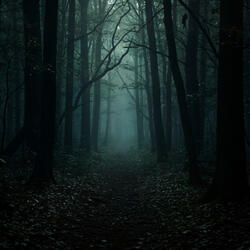 Abyssal Forest