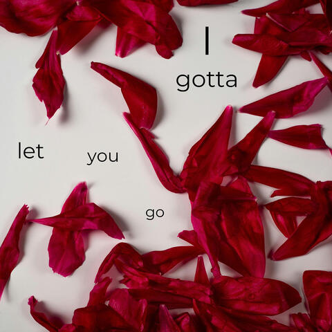 I Gotta Let You Go