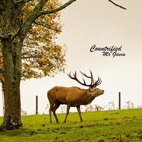 Countrified