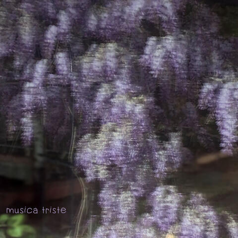 Musica triste (non sei solo)