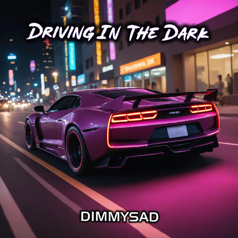 Driving in the Dark