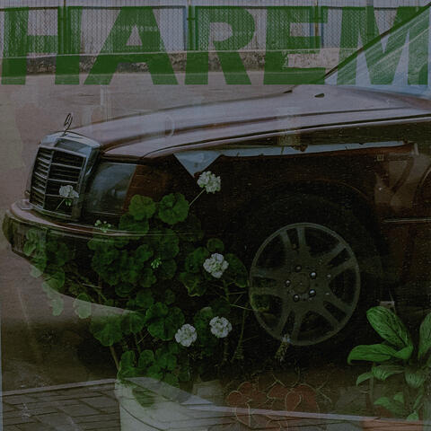 Harem