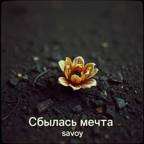 Сбылась мечта
