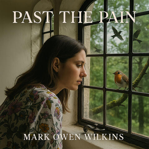 Past the Pane
