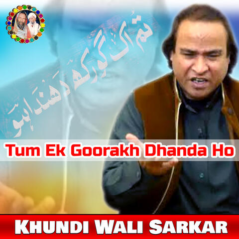 Tum Ek Goorakh Dhanda Ho