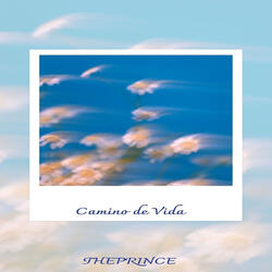 Camino De Vida