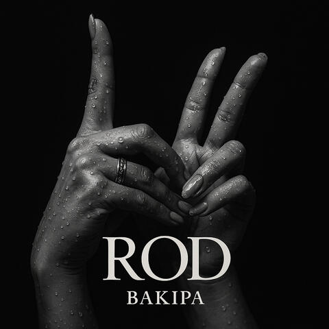 Rod
