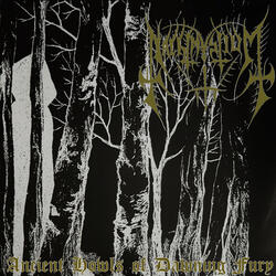 Hateful Descent 2013
