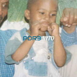 PDR 3