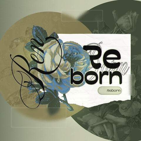 Reborn
