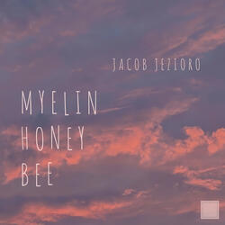 Myelin Honey Bee