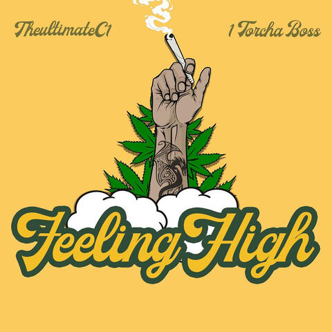 Feeling High