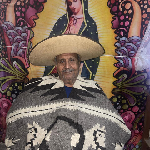 El Pellica