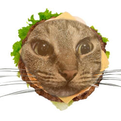 The Sad Cat Burger Song