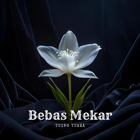 Bebas Mekar