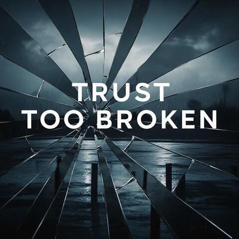 Trust Too Broken