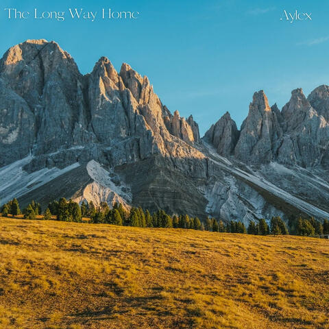 The Long Way Home